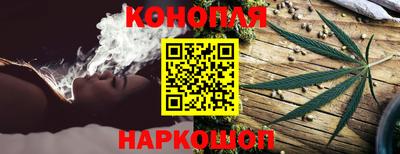 гашик Янаул
